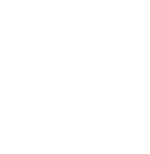 MiCiS Group